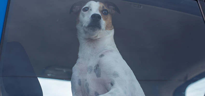 Car Lockout Solutions in Fair Oaks, California